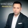 Mahmut Akagün - Aldırmadan Yaşa