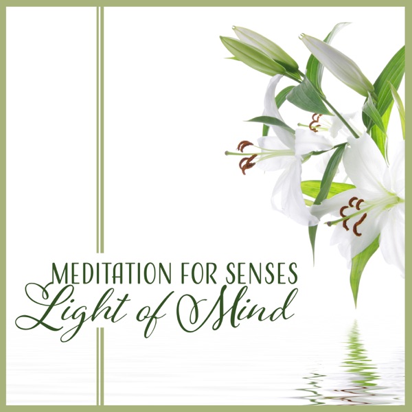 Meditation for Senses - Light of Mind, Pure Relaxation, Meditation, Yoga, Reiki, Sleep, Zen, Feel Nature