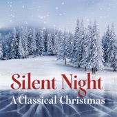 Silent Night - A Classical Christmas artwork