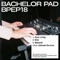 Bau - Bachelor Pad lyrics