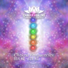 Chakra Frequencies – 864 Hz – 128 Hz: Healing & Meditation, Sounds Medicine for Full Body Curative - Chakra Healing Music Academy