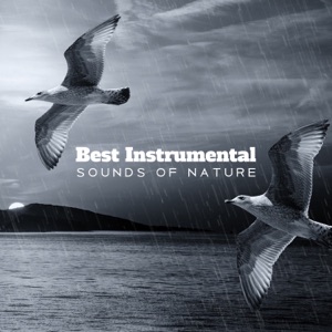 Best Instrumental Sounds of Nature: Healing Relaxing Music, Birds & Gentle Rain, New Age, Tibetan Chakra Meditation
