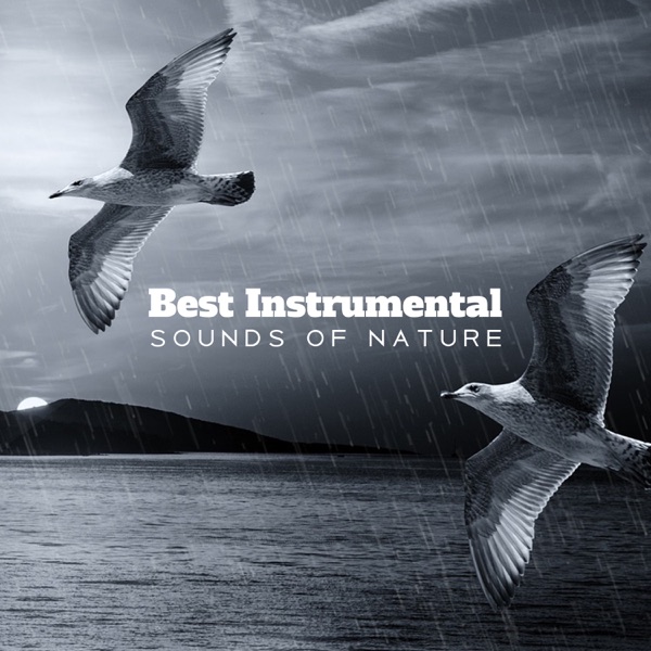 Best Instrumental Sounds of Nature: Healing Relaxing Music, Birds & Gentle Rain, New Age, Tibetan Chakra Meditation