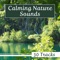 Calming Nature Sounds - Calm Nature Oasis lyrics