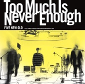 Too Much Is Never Enough artwork