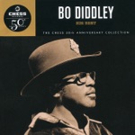 Bo Diddley - You Can't Judge A Book By Its Cover