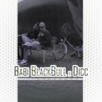 No Chance (feat. Dicc) - Single - Babi Blackbull