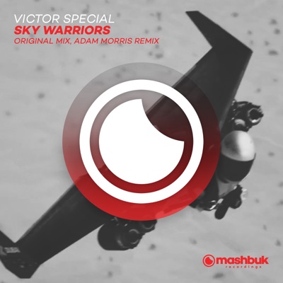 Sky Warriors - Single