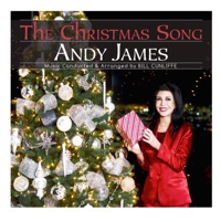 The Christmas Song - Single - Andy James