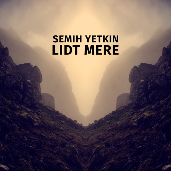 Cover artwork for Lidt Mere