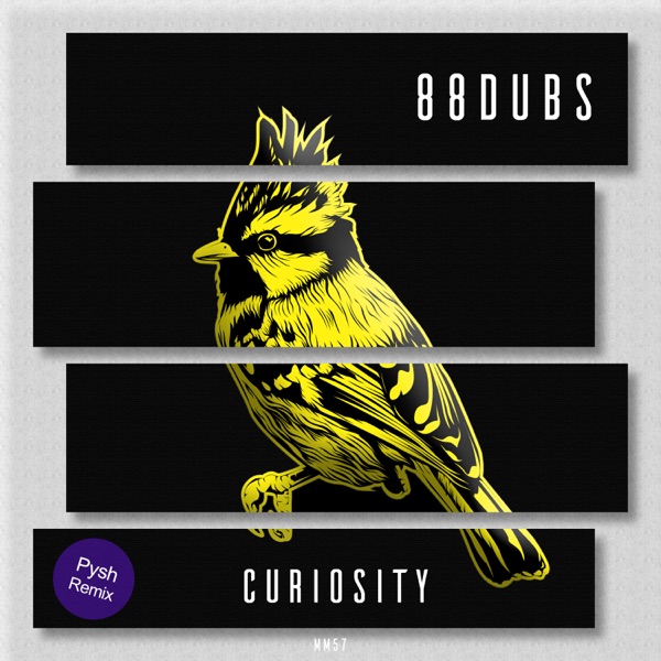 Curiosity - Single