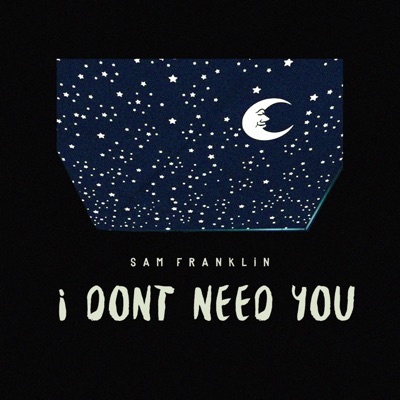 I Don't Need You - Single