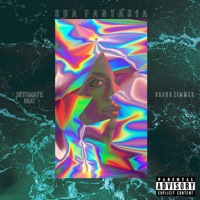 Sua Fantasia (feat. Sasha Zimmer) - Single - Intimate Beat