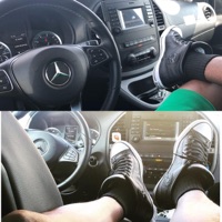 Flex - Single - Dullastar