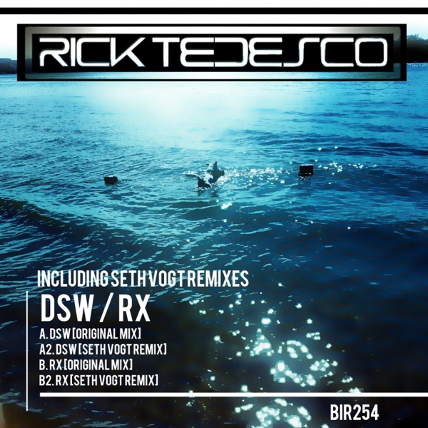 D.S.W. - Ep