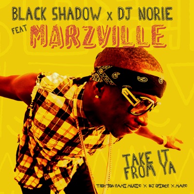 Take It from Ya (feat. Marzville) - Single