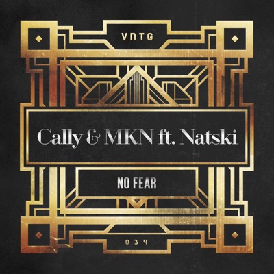 No Fear (feat. Natski) - Single
