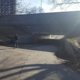 100 vägar natural (feat. D-gone) Tedy B