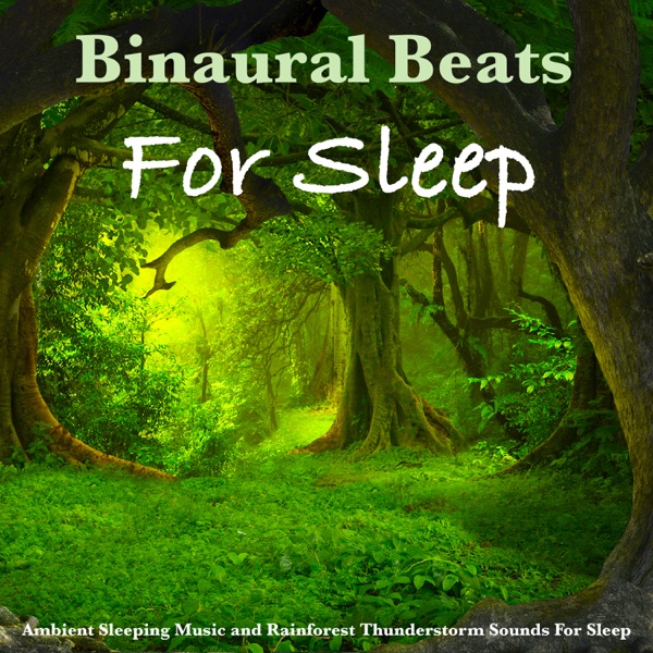 Binaural Beats For Sleep (Ambient Sleeping Music and Rainforest Thunderstorm Sounds For Sleep)