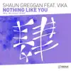Nothing Like You (Six Senses Remix)