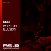 World of Illusion (Extended Mix) artwork