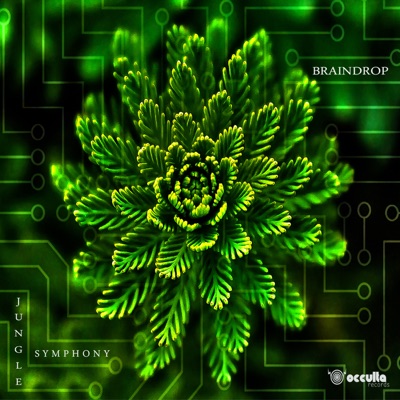 Jungle Symphony - Single