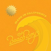 The Beach Boys - Celebrate The News