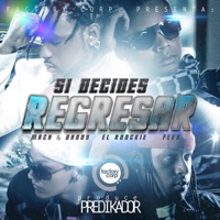 Si Decides Regresar (feat. El Roockie & Flex) - Single - Mach & Daddy