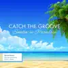 Catch the Groove - Shaken Not Stirred (feat. Nils, Oliver C Brown & Darryl Williams)