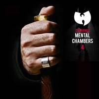 Mental Chambers IV - Cilvaringz