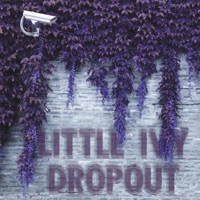 Little Ivy Dropout - Two:22
