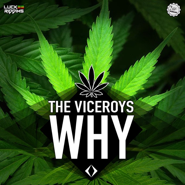 Why - Single