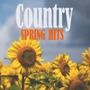 Jon Pardi - She Ain't In It