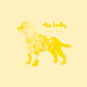 The Beths - Lying in the Sun