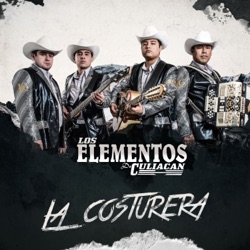 Los Elementos de Culiacan - La Costurera