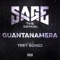 Guantanamera (feat. Trey Songz) - Sage the Gemini lyrics