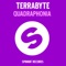 Quadrophonia (Marco G & Amin Golestan Remix) - Terrabyte lyrics