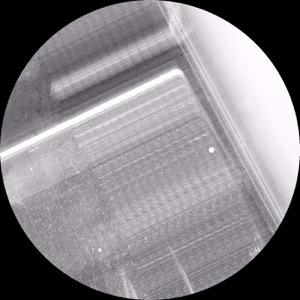 Taotast - EP