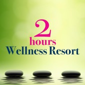2 Hours in a Wellness Resort - The Very Best in Relaxing Music for Meditation, Sleep, Yoga, Massage artwork