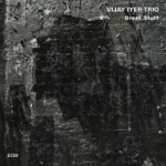 Vijay Iyer Trio - Diptych