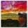 Tom Bruner - VIOLETS FOR YOUR FURS