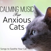 Calming Music for Anxious Cats: Songs to Soothe Your Cat artwork