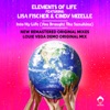 Into My Life (You Brought the Sunshine) [Louie Vega Roots Mix] [feat. Lisa Fischer & Cindy Mizelle] cover art