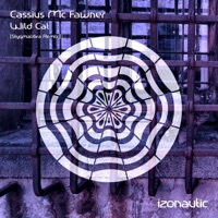 Cassius Mc Fawner - Wild Cat (Stygmalibra Remix)