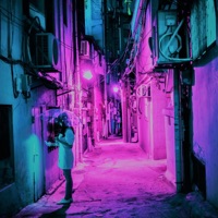 Back to The - Single - Hanimo