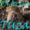 Tularosa Tuza - 53 Across lyrics