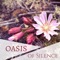 Relaxing Song of Autumn (Meditation Music) - Calm Down Oasis lyrics