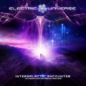 The Gate (Electric Universe Remix) artwork