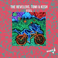 Feel - Single - The Revelers & Tomi&Kesh