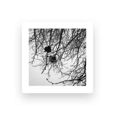 Eden Ivy - Songs, Concert tickets & Videos